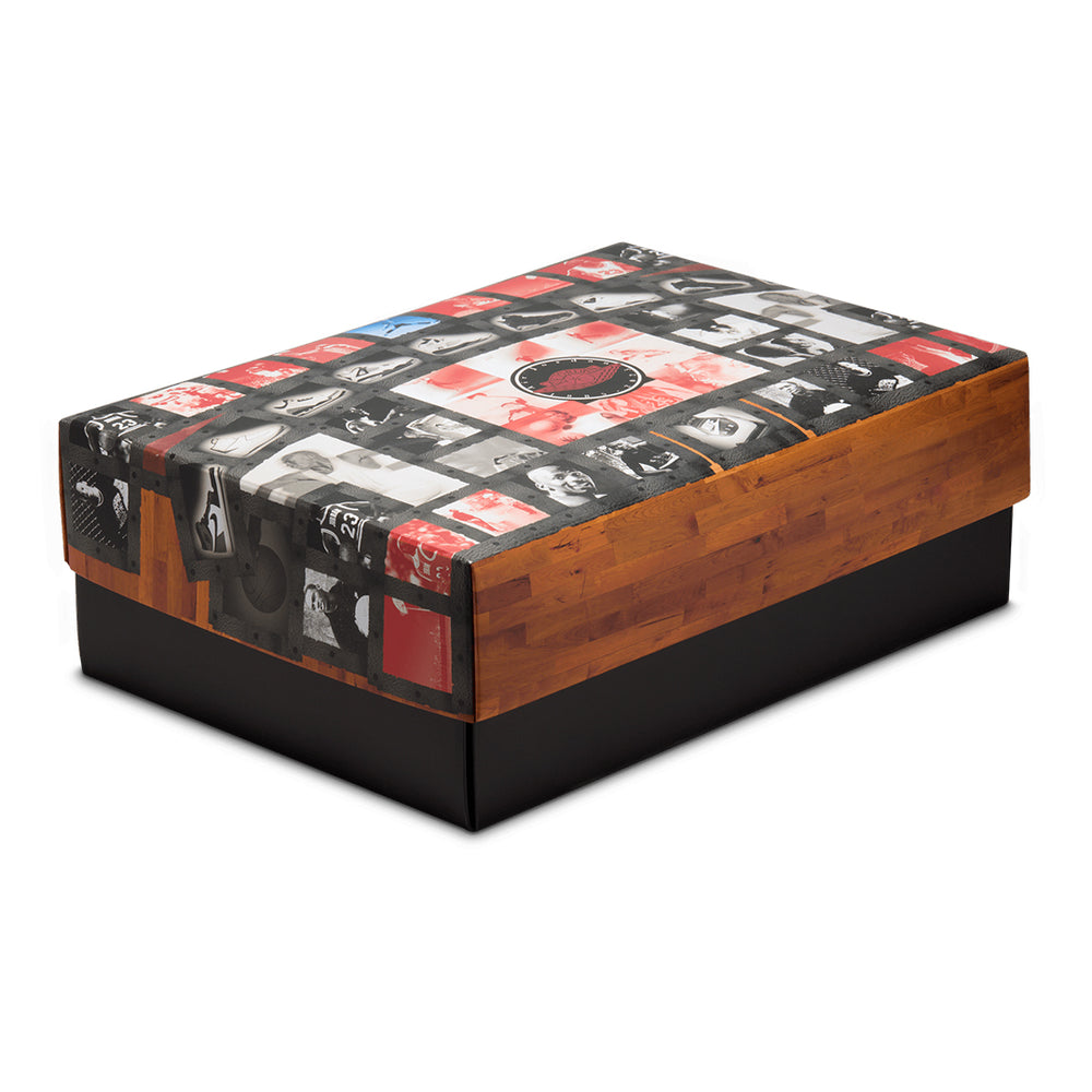 AIR JORDAN 10 RETRO "SHADOW"