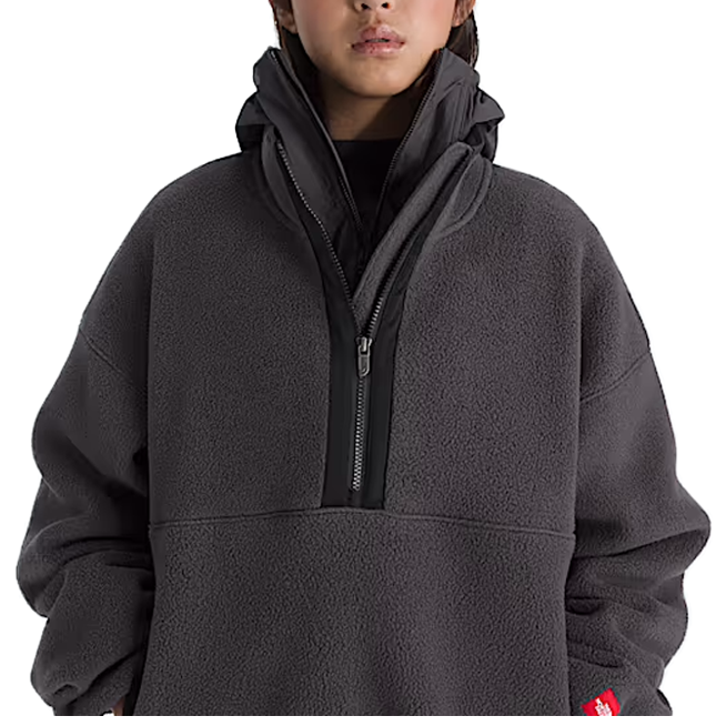 TNF RED BOX 1/2 ZIP FLEECE OBSIDIAN